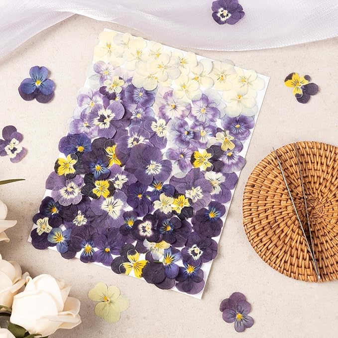 60Pcs Dried Pressed Pansies Flowers for Cake Decorating, Purple Real Dry Flower for Resin Art Crafts Jewelry Decorations