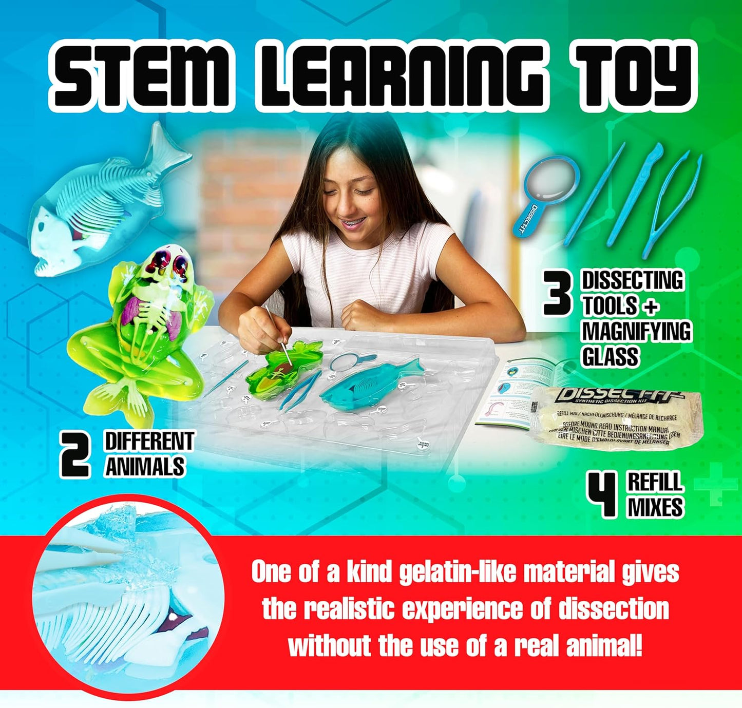 Top Secret Toys Mega Lab Dissect It Kit for Kids, Synthetic Frog and Piranha Dissection Kids Science Kit with Tools, STEM Biology Toys for Ages 6+