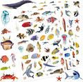 Ocean Animals Stickers 820 Count Sea Animal Fish Shark Stickers Party Favors Gifts Sticky Decor for Scrapbook Calendar Planner Gift Wrap Decor (Ocean)