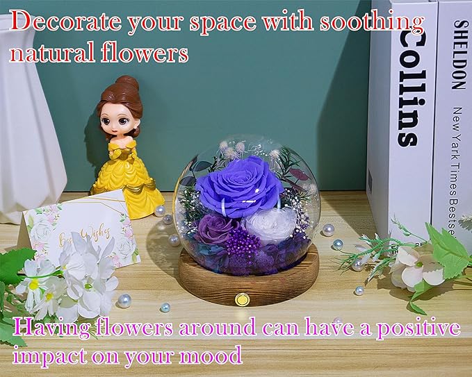 Valley of Rain & Forest Long-Lasting Real Flowers, Unique Floral Gift For you to send Love for All Occasions, for Indoor Decoration (Violet Rose, Purple & White Austin Roses)