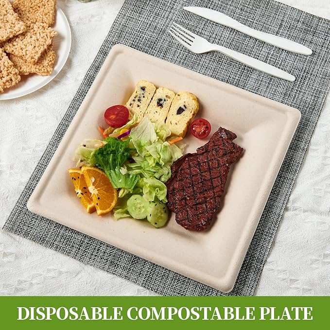 ECOLipak 100 Pack Compostable Square Plates, 10 inch Disposable Paper Plates Made of Sugacane, Eco-friendly Heavy Duty Biodegradable