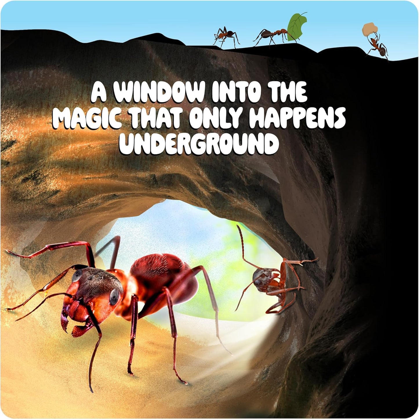 Dan&Darci Ant Farm Kit for Kids - Farms Colony - Includes Ants Voucher - Sand Habitat Kits - Bug Terrarium House - Educational Science Gifts for Kid - Nature Learning Toys for Boys, Girls & Adults