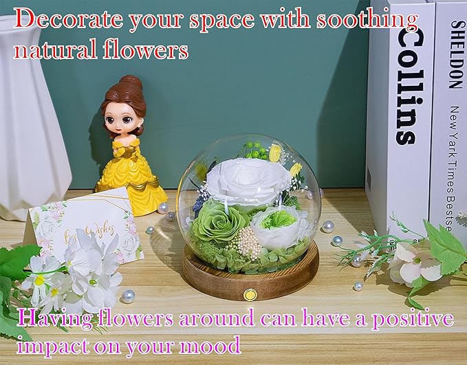 Valley of Rain & Forest Long-Lasting Real Flowers, Unique Floral Gift For you to send Love for All Occasions, for Indoor Decoration (White & Green Roses Arrangement)