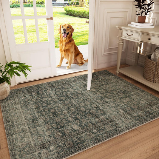 Machine Washable Throw Rugs for Entryway: Door Mat Indoor Entrance 3x5 Rug Boho Small Area Rug Non-Slip Low Pile Kitchen Rug for Front Door Indoor Entrance Entry Kids Room