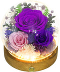 Valley of Rain & Forest Long-Lasting Real Flowers, Unique Floral Gift for You to Send Love for All Occasions, for Indoor Decoration (Dark Purple & Pink Roses Arrangement)